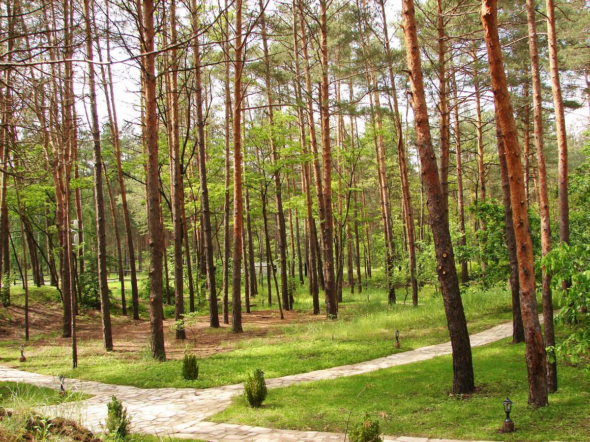 Medvedevka Pershyi Kordon Tourist Complex酒店 外观 照片